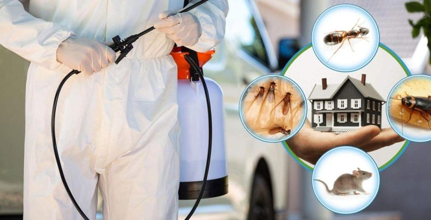 Acıgöl Böcek İlaçlama