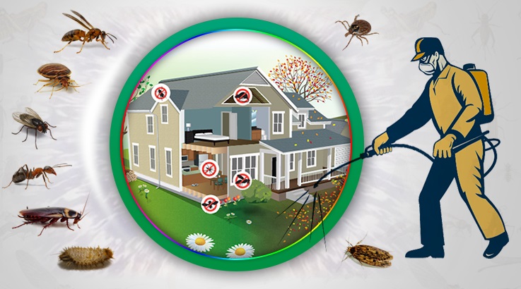 Acıgöl Böcek İlaçlama