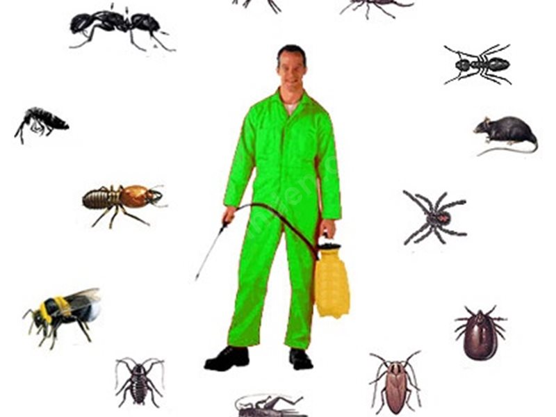 Acıgöl Böcek İlaçlama